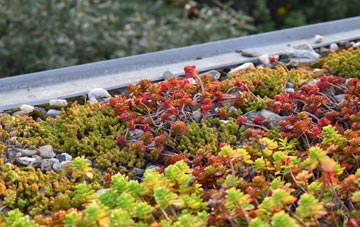 the cost of The Bawn green roof installation